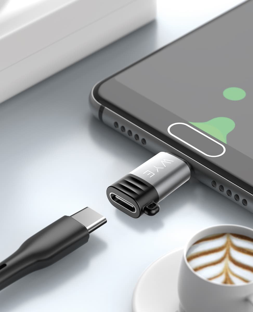 WYE USB-C to Micro Mini Adaptor