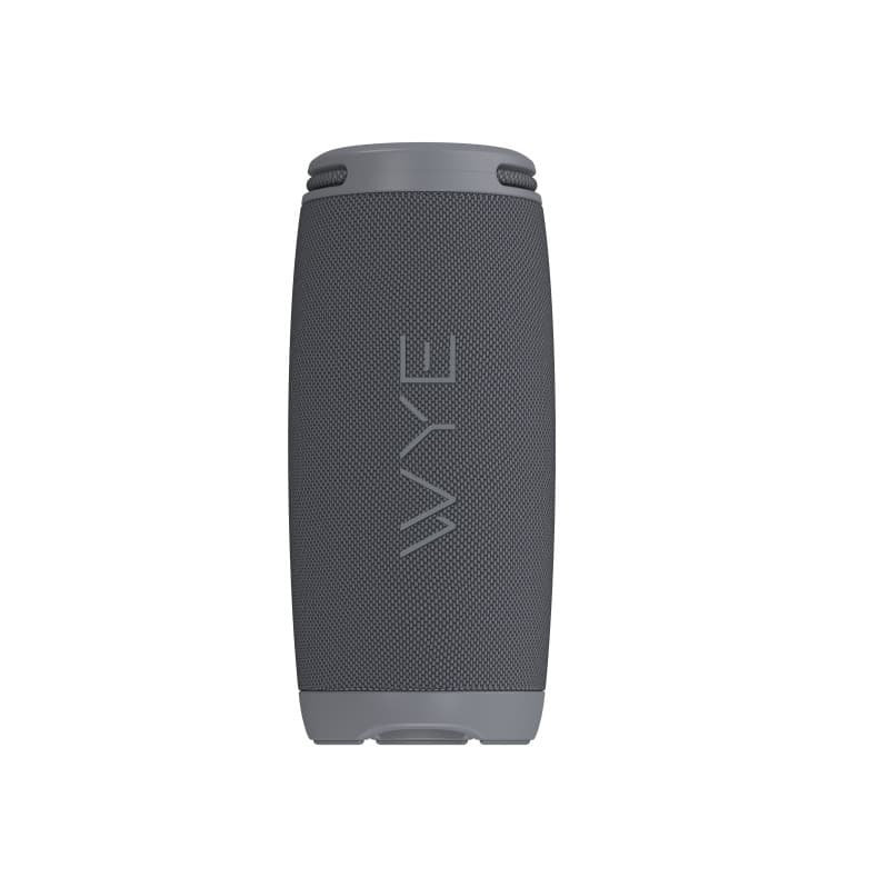 20W ProSound Wireless Speaker